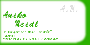 aniko meidl business card